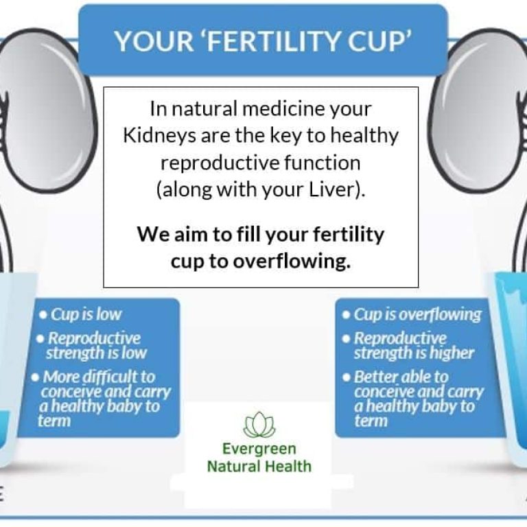 Fertility-Cup-Graphic-New